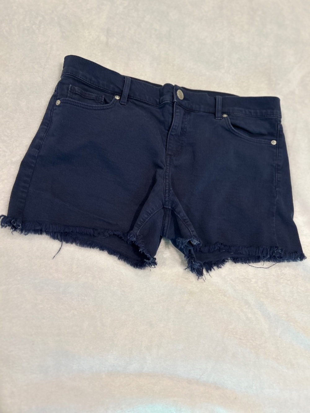 Loft women’s shorts in a size 8/29